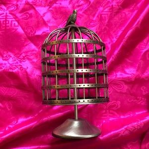 Bird cage earring holder